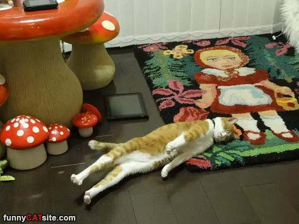 Me Laying Around