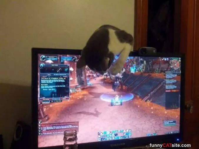 This Game Is Fun
