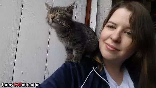 I Am Shoulder Cat