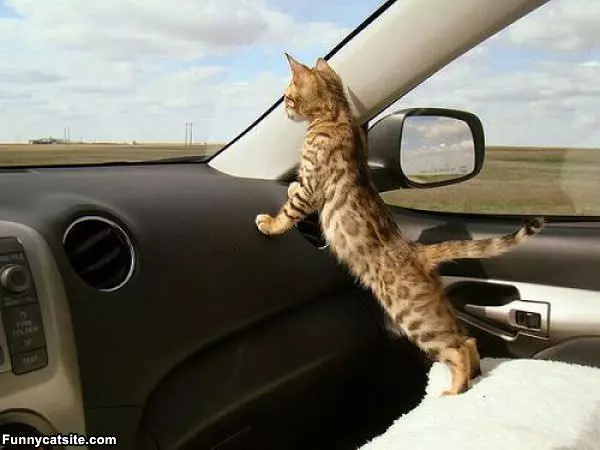Where Are We Going