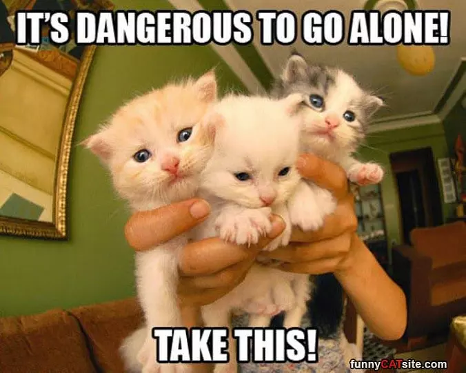 Dangerous To Go Alone