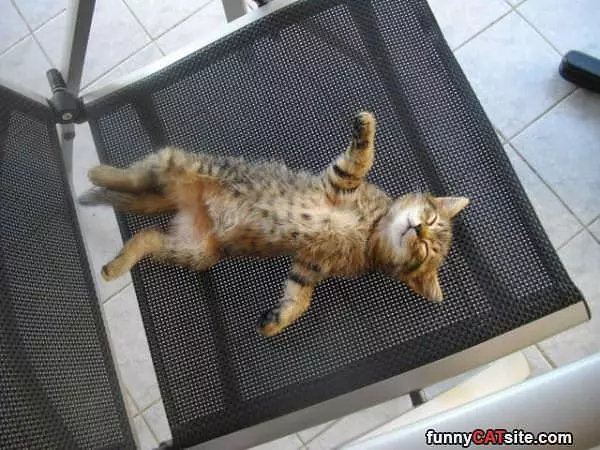 Hanging Around Here