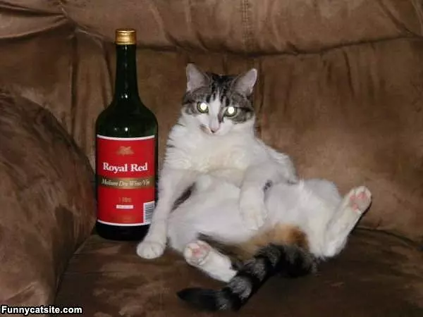 Royal Red