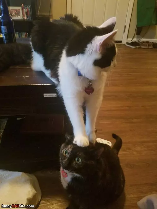 Sitting On My Head