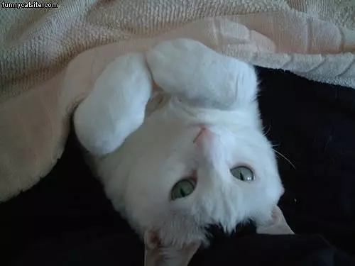 All Tucked In