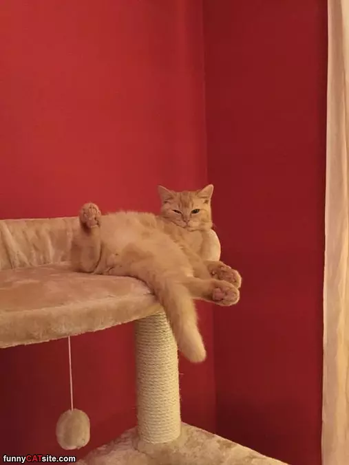 This Is Sooo Relaxing