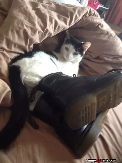 Big Boots