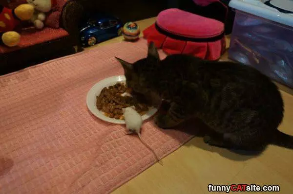 We Are Sharing Breakfast