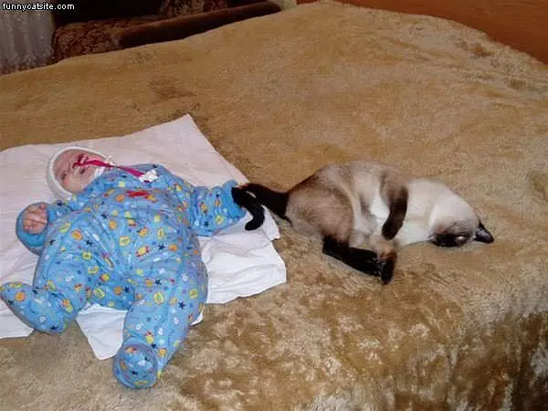 Blanky