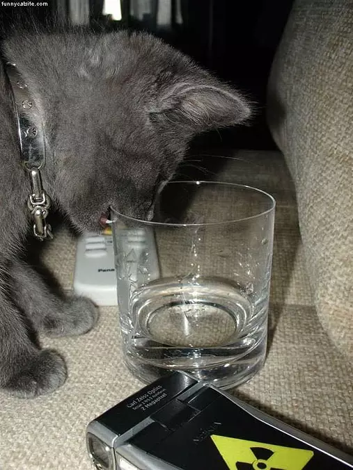 Bitey