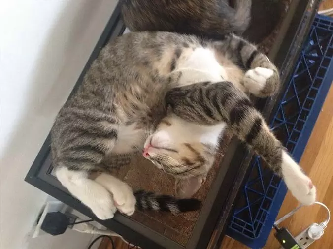 Relaxed In A Pretzel