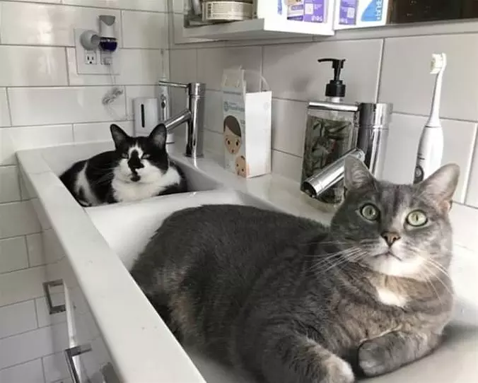 A Couple Of Sinks
