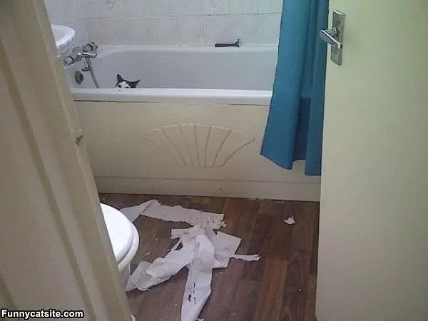 Wasnt Me