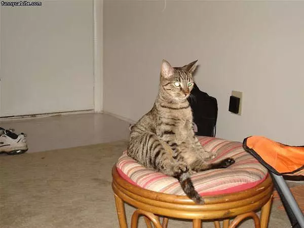 Sit Straight Up