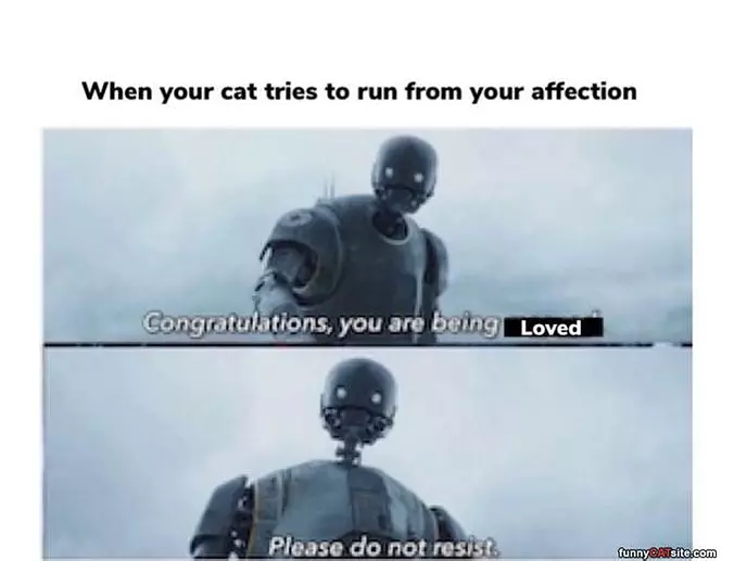 Do Not Resist