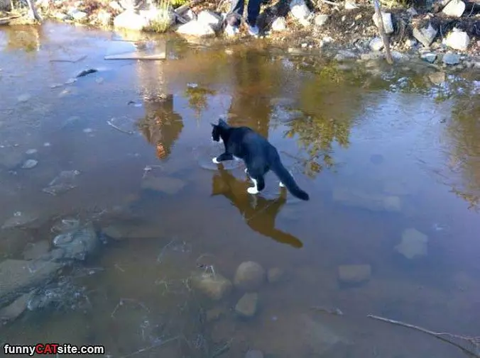 Walking On Water