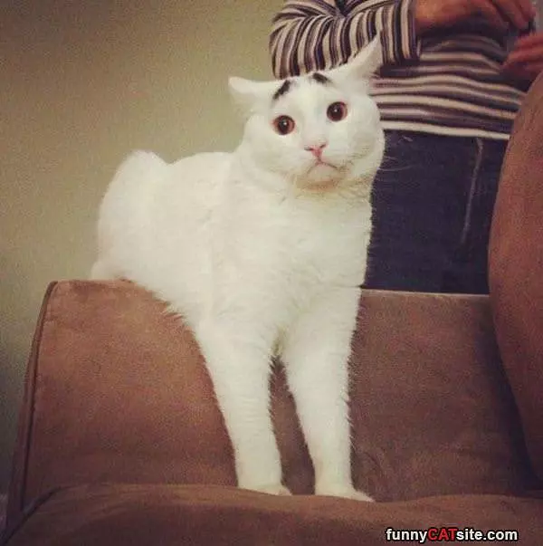 Can I Sit Here