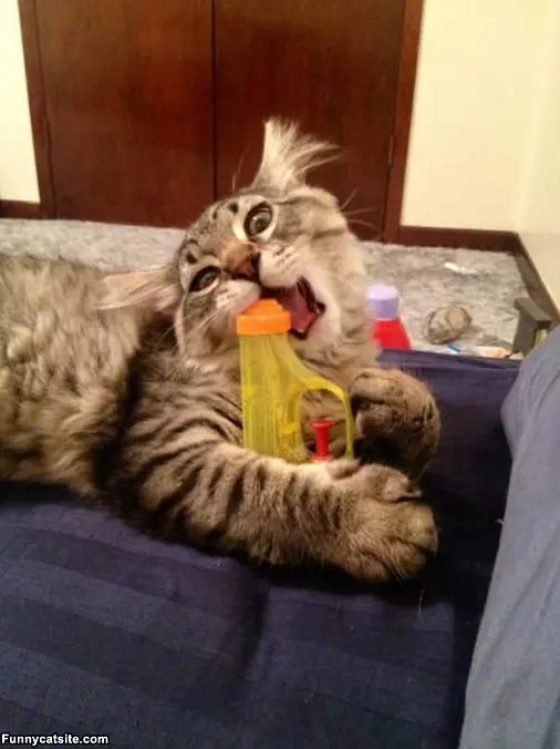 Squirt Gun