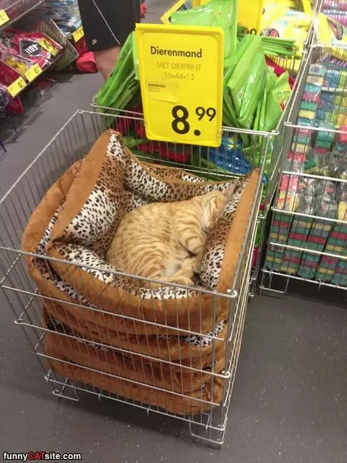 The Best Place To Sleep