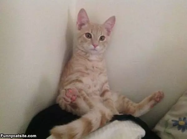 Just Relaxing Here