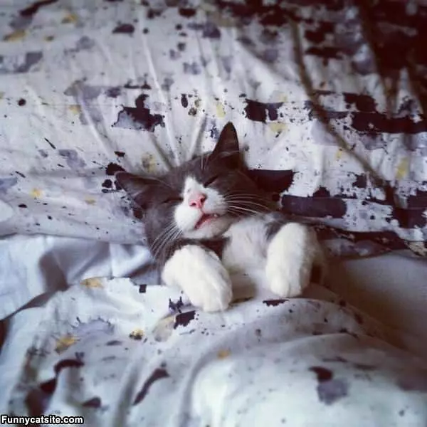 Dont You Dare Wake Me Up