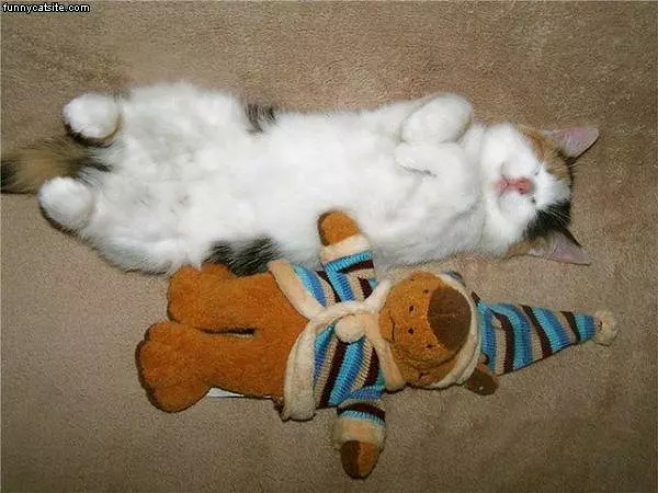 I Sleeps Funny