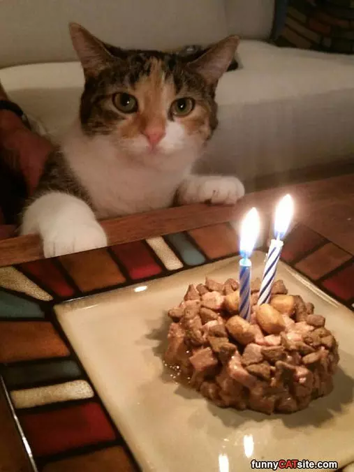 For My Birthday