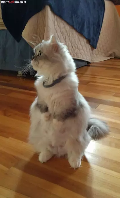 Doing My Little Dance