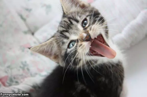 I Makes A Happy Face