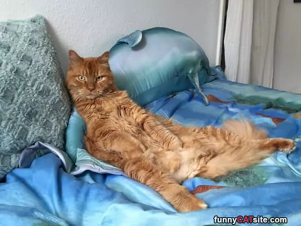 Just Lounging Around