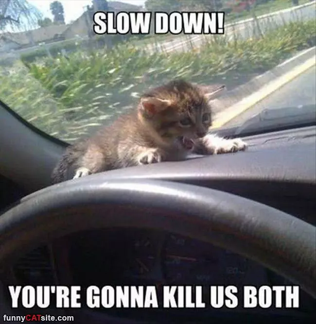 Slowwwww Down