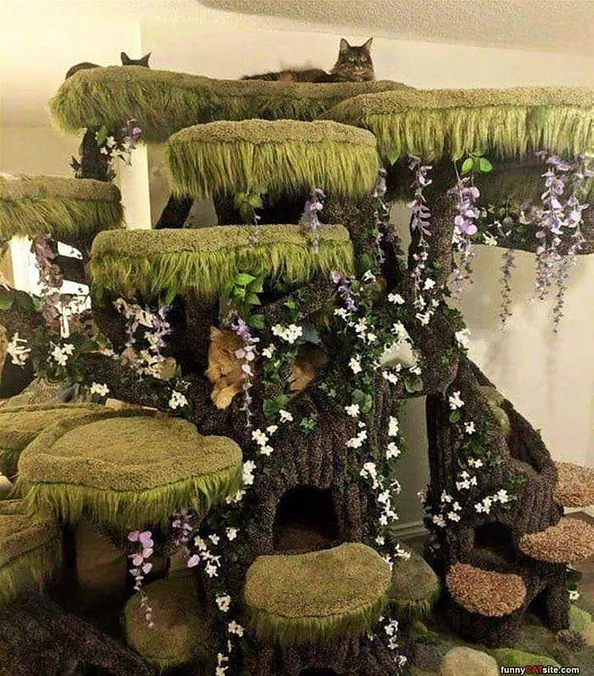 A Huge Cat Tower