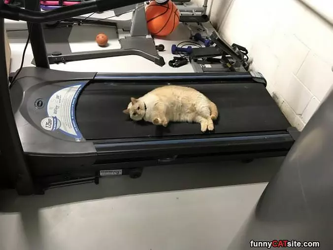 Done With The Walking