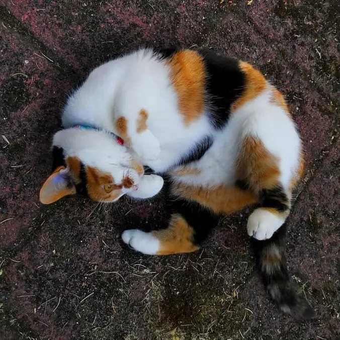 Relaxed And Playing