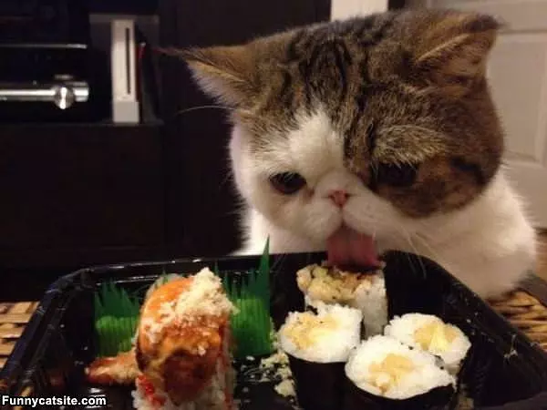 Nommmmm