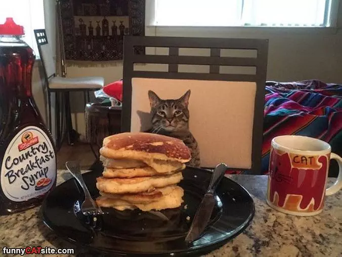 Ready For Breakfast