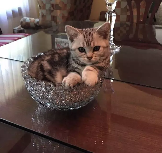 In A Bowl