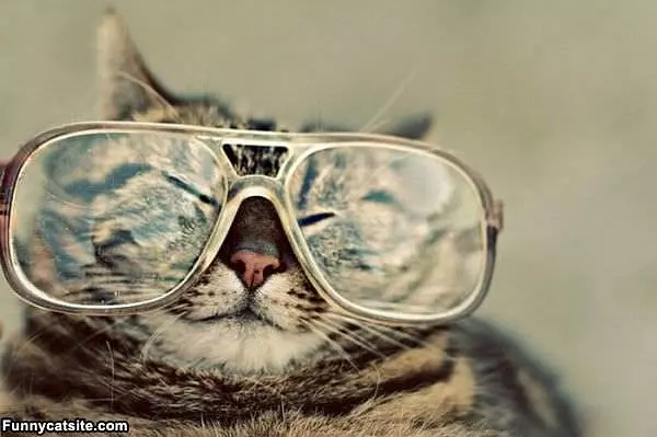 Large Glasses