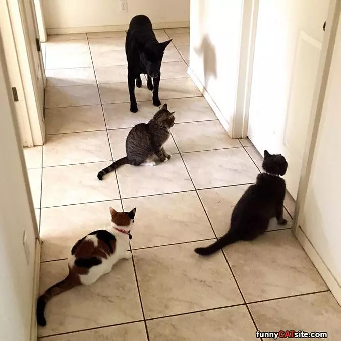 Can You Let Us In There