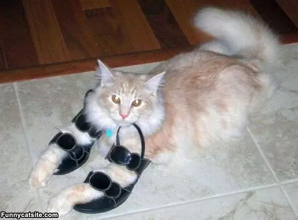 They Dont Fit