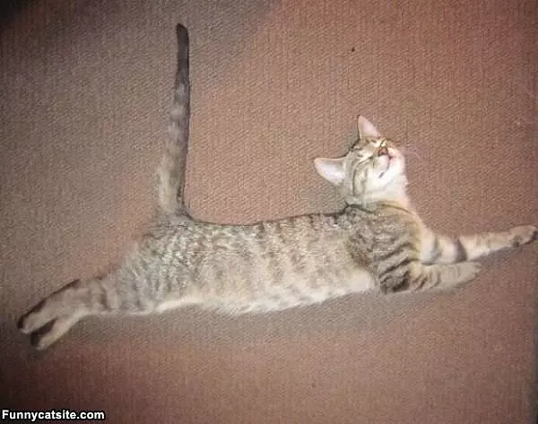 Relaxed
