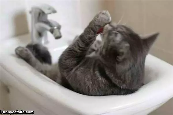 Taking My Bath