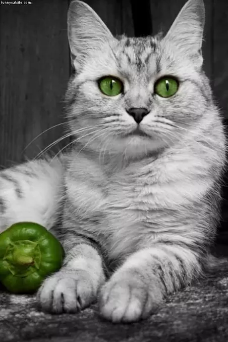 Green Eyes