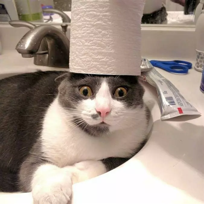My Crazy Hat