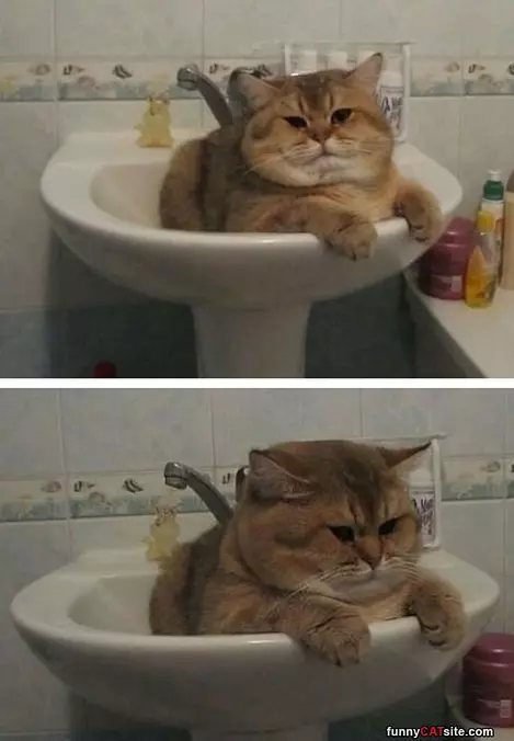 In The Tub For A Bath