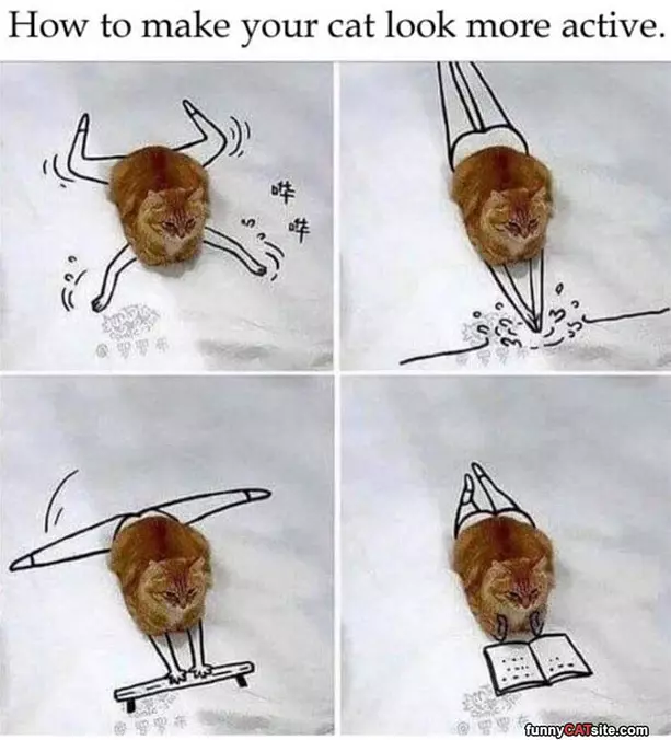 Look More Active