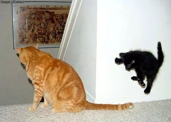 Jump Ninja Attack