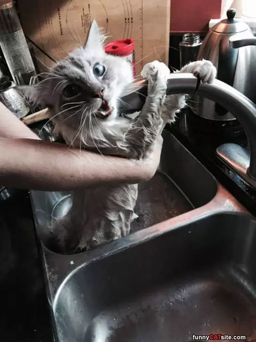 No More Baths