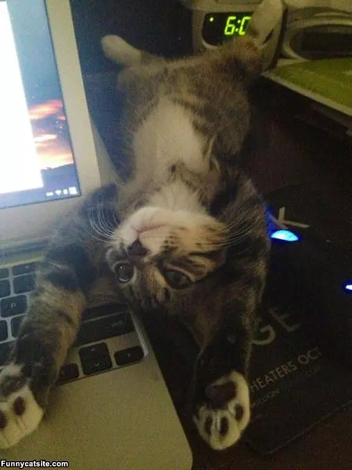 I Will Just Sleep Here Ok