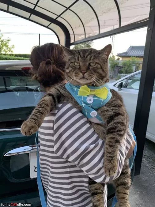 Not Impressed